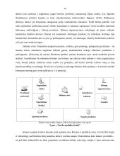 Verslo modelio taikymas vertės kūrimui 10 puslapis