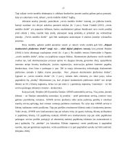 Verslo modelio taikymas vertės kūrimui 13 puslapis