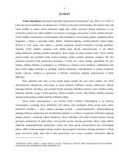 Verslo modelio taikymas vertės kūrimui 2 puslapis