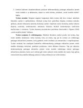 Verslo modelio taikymas vertės kūrimui 4 puslapis