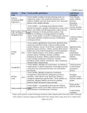 Verslo modelio taikymas vertės kūrimui 7 puslapis