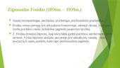 Z. Froido psichoanalitinė asmenybės teorija 2 puslapis