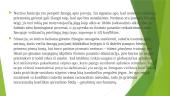 Z. Froido psichoanalitinė asmenybės teorija 15 puslapis