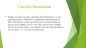 Z. Froido psichoanalitinė asmenybės teorija 19 puslapis