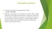 Z. Froido psichoanalitinė asmenybės teorija 3 puslapis