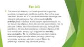 Z. Froido psichoanalitinė asmenybės teorija 6 puslapis