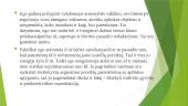Z. Froido psichoanalitinė asmenybės teorija 7 puslapis
