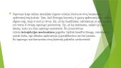 Z. Froido psichoanalitinė asmenybės teorija 9 puslapis