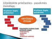 Kryžiaus žygiai (skaidrės) 5 puslapis