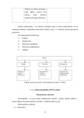 Konkurencingumo rinkoje ypatumai 12 puslapis