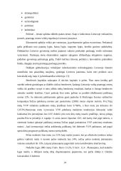 Konkurencingumo rinkoje ypatumai 13 puslapis