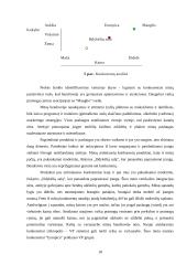 Konkurencingumo rinkoje ypatumai 17 puslapis