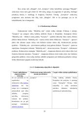 Konkurencingumo rinkoje ypatumai 19 puslapis