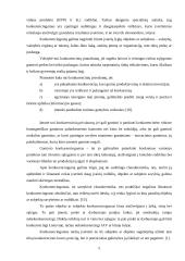 Konkurencingumo rinkoje ypatumai 4 puslapis