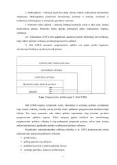 Konkurencingumo rinkoje ypatumai 6 puslapis