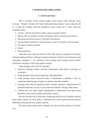 Konkurencingumo rinkoje ypatumai 9 puslapis