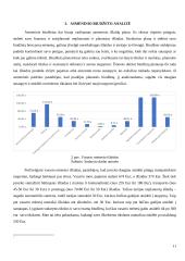 Asmeninių finansų valdymo strategija (finansų projektinis darbas) 10 puslapis