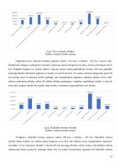 Asmeninių finansų valdymo strategija (finansų projektinis darbas) 11 puslapis