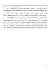 Asmeninių finansų valdymo strategija (finansų projektinis darbas) 12 puslapis