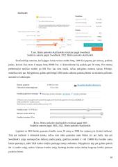Asmeninių finansų valdymo strategija (finansų projektinis darbas) 17 puslapis