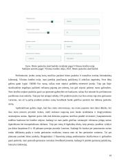 Asmeninių finansų valdymo strategija (finansų projektinis darbas) 18 puslapis