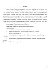 Asmeninių finansų valdymo strategija (finansų projektinis darbas) 4 puslapis