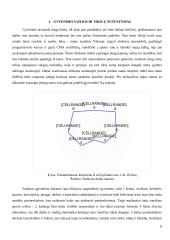 Asmeninių finansų valdymo strategija (finansų projektinis darbas) 5 puslapis