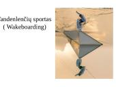 Vandenlenčių sportas 