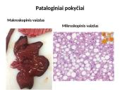 Paršelių lipidozė 11 puslapis