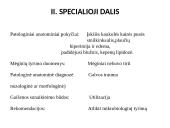 Paršelių lipidozė 2 puslapis