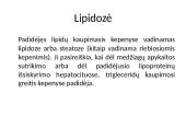 Paršelių lipidozė 3 puslapis