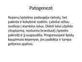 Paršelių lipidozė 5 puslapis