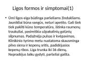 Paršelių lipidozė 6 puslapis