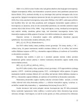 Lietuvos vidaus turizmo veiklos sąsajos su šalies ekonominiais rodikliais 11 puslapis