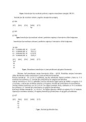 Konvejerinio instrukcijų apdorojimo modeliavimas 2 puslapis