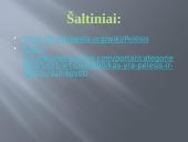 Pelėsio auginimas 17 puslapis