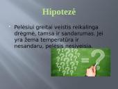 Pelėsio auginimas 2 puslapis