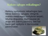 Pelėsio auginimas 4 puslapis