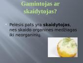 Pelėsio auginimas 6 puslapis