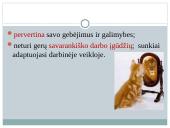 Z kartos mokinių ugdymo strategijos 11 puslapis