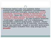 Z kartos mokinių ugdymo strategijos 13 puslapis