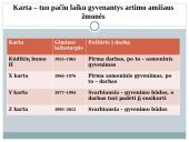 Z kartos mokinių ugdymo strategijos 3 puslapis
