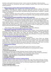 Kainodaros egzamino konspektas 2 puslapis