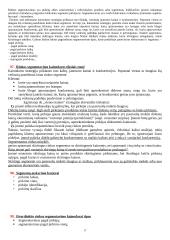 Kainodaros egzamino konspektas 17 puslapis