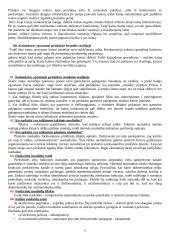 Kainodaros egzamino konspektas 9 puslapis