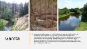 Dzūkijos nacionalinis parkas (skaidrės) 5 puslapis