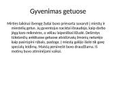 Holokaustas Lietuvoje skaidrės 4 puslapis