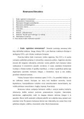 Renesanso literatūra - viskas, ką reikia žinoti 1 puslapis
