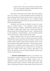 Renesanso literatūra - viskas, ką reikia žinoti 3 puslapis