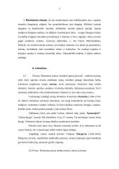 Renesanso literatūra - viskas, ką reikia žinoti 5 puslapis